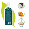 Canviiy ScalpBliss Moisture Repair OrganicBased Shampoo Moisturizing Gentle DeepClean Powered by Natural Antioxidants an