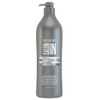 Saloon in Color Intensifier Shampoo Platinium Recamier Professional Champu Platinum 338 Ounces 1000 Mililiter