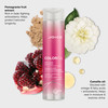 Joico Colorful AntiFade Shampoo For ColorTreated Hair Preserve Hair Color Vibrancy Boost Shine Reduce Breakage Sulfate F
