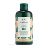 The Body Shop Shea Intense Repair Shampoo Intense Repair For Dry Hair With Vegan Silk Protein Vegan 84 Fl Oz