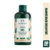 The Body Shop Shea Intense Repair Shampoo Intense Repair For Dry Hair With Vegan Silk Protein Vegan 84 Fl Oz