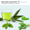 MOP Revitalizing Shampoo Basil Mint 845 Fl Oz