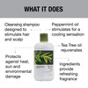 GREAT CLIPS Solutions Tea Tree Shampoo 12 fl oz Natural Dry Scalp Dandruff Treatment with Invigorating Essential Oils No
