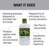GREAT CLIPS Solutions Tea Tree Shampoo 32 fl oz Natural Dry Scalp Dandruff Treatment with Invigorating Essential Oils No