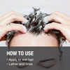 GREAT CLIPS Solutions Tea Tree Shampoo 32 fl oz Natural Dry Scalp Dandruff Treatment with Invigorating Essential Oils No