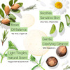 Tree to Tub Peppermint Shampoo for Oily Hair Sensitive Scalp Gentle Clarifying Shampoo for Build Up Sulfate Free Anti Re