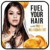 Pantene ProV Shampoo Curl Perfection 126 Ounce