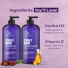 Botanic Hearth Curly Hair Shampoo And Conditioner Set For Curly Hair Detangle Define Enhance Curls With Jojoba Oil Vitam