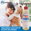 Allersearch Pet AntiAllergen Dog Shampoo 16 Oz