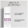 Goldwell Dualsenses Blondes Highlights AntiYellow Shampoo 300mL
