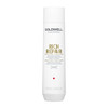 Goldwell Dualsenses Rich Repair Restoring Shampoo 101 Fl Oz