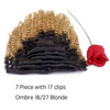 Loxxy Afro Curly Clip in Extensions Thick 100 Virgin Remy Human Hair 4B 4C Natural Black 7 Pieces with 17 Clips 120g per