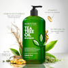 Majestic Pure Tea Tree Shampoo for Men and Women 16 fl oz Hydrating Formula Fights Dandruff Lice and Itchy Irritating or