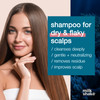milkshake Purifying Blend Shampoo 338 Fl Oz