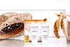 Leonor Greyl Paris Premium Luxury Travel Kit for Damaged Hair TSA Approved Travel Size Shampoo Hair Oil Conditioning Mas