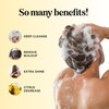 Sulfate Free Shampoo for Oily Hair Lemon Sage Clarifying Shampoo for Build Up and Oily Scalp Care with Rosemary Essentia
