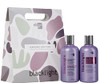 Oligo Professionnel Blacklight Purple Shampoo Conditionner SulfateFree Removes Yellow Tones Refreshes Faded Highlights A