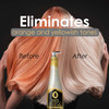OURO Shampoo Toning Nuance Blonde Silver Hair Treatment Champu Matizador Para Cabellos Rubio y Platinado 338unces1000mil