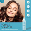 Ovation Hair Volume Shampoo For Voluminous Bouncy Hair 12 oz Gentle Cleansing and Helps Removes Excess Hair Oil For Fine