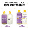 Alaffia EveryDay Shea Shampoo and Conditioner Normal to Very Dry Hair Cleans and Protects Supports Balance pH for Luxuri