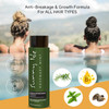 Sunny Isle Rosemary Mint Hair Strong Roots Shampoo 12oz AntiBreakage Growth Formula Infused with Biotin Jamaican Black C