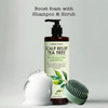 PHARM TO TABLE Tea Tree Shampoo For Men and Women Deep Cleansing SulfateFree Formula Relief for Dry Itchy Scalp Infused