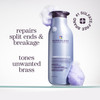 Pureology Strength Cure Blonde Purple Shampoo for Blonde Lightened ColorTreated Hair 338 Fl Oz