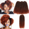 Short Kinky Curl Hairstyle 8 Inch 3pcspack Afro Kinky Twist Hair Soft Synthetic Crochet Braiding Hair Extention 1b350