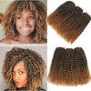 Sharopul Kinky Curl Ombre Color 3little pcspack 8Inch 60roots 110gram Afro Kinky Twist Hair Crochet Braids Synthetic Cro