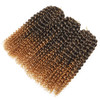 Sharopul Kinky Curl Ombre Color 3little pcspack 8Inch 60roots 110gram Afro Kinky Twist Hair Crochet Braids Synthetic Cro