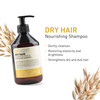 INSIGHT Clean Beauty Nourishing Shampoo for Dry Hair with Organic Oat Extract Vegan 135 fl oz