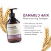 Insight Clean Beauty Moisturizing Shampoo with Organic Macadamia Oil Hydrating Vegan 135 fl oz