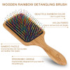 BLACK EGG Paddle Detangling Hair Brush for Women Girls Rainbow Nylon Brush for Thick Thin Curly Hair Includes Wooden Det