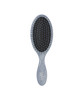 Wet Brush Disney Original Detangler Hair Brush Princess Guiding Spirit Frozen 2 Elsa All Hair Types UltraSoft IntelliFle