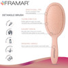 Framar Detangling Brush for Curly Hair Hair Brushes for Women Wet Detangler Hair Brush Wet Hairbrush For Women Hairbrush