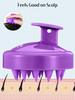 HEETA Scalp Massager Hair Growth 2Pack Soft Silicone Scalp Scrubber Shampoo Brush for Exfoliation Dandruff Removal Head