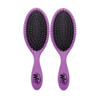 Wet Brush Detangling Hair Brush Purple 2 Pack Detangler Comb for Women Men Kids Wet or Dry Removes Knots and Tangles Bes
