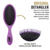Wet Brush Detangling Hair Brush Purple 2 Pack Detangler Comb for Women Men Kids Wet or Dry Removes Knots and Tangles Bes