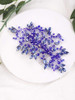 Kercisbeauty Crystal Hair Comb for Women Wedding Hair Jewelry Bridal Boho Headpiece Prom Jewelry Blue