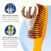 Giorgio GION2O Neon Orange 625 inch Gentle Touch Detangler Hair Brush for Men and Women Soft Bristles for Sensitive Scal