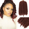 Spring Twist Hair 8 Inch 6 Packs Spring Twist Crochet Hair Spring Twist Braiding Hair For Passion Twist Butterfly Locs C