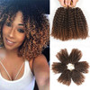 8 Inch Short Passion Twist Hair 6 Bundles Kinky Curly Crochet Hair for Black Women Curly Braiding Hair Crochet Braids Ha