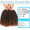 8 Inch Short Passion Twist Hair 6 Bundles Kinky Curly Crochet Hair for Black Women Curly Braiding Hair Crochet Braids Ha