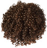hairuwear Eva Gabor Acclaim Short Layered Average Size Comfort Cap Wig Dark Chocolate Mist