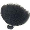 Brazilian Afro Kinky Curly Hair Extension 822inch 4B 4C 1 Bundle 100g Brazilian Virgin Remy Human Hair Weaves Natural Bl