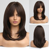 Alanhair Dark Brown Wigs for WomenHAIRCUBE ShoulderLength Layered Wigs with Bangs Heat Resistant Synthetic Fibre Wigs