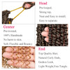 Leeven 8 Packs Pretwisted Passion Twist Crochet Hair 22 Inch 12 Strandspack Ombre Color Hair for Passion Twist Braiding