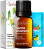 Gya Labs Vanilla Essential Oil - 0.34 Fl Oz - for Hair, Skin, Diffuser, Aromatherapy & DIY Candle Making Scent online at globaldelivered