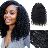 Luwigs Afro Kinky Curly 3B 3C Clip in Hair Extensions for Black Women Real Brazilian Virgin Human Hair Clip Ins Natural