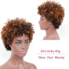 Ms Taj Short Afro Kinky Curly Human Hair Wigs for Black Women Brazilian Virgin Short Curly Afro Wigs None Lace 150 Densi